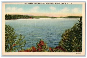 c1940's Full View Of Big Tupper Scene Tupper Lake New York NY Unposted Postcard