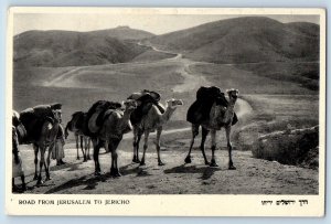 Israel Postcard Camels Road from Jerusalem to Jericho c1920's Unposted