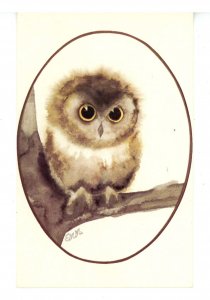Birds - Baby Owl