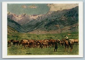 1957 Kyrgyz Kyrgyzstan Issyk-Kul State Stud Farm HORSES Russian Soviet Postcard