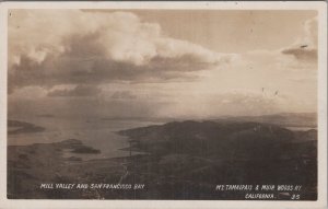 RPPC Postcard Mill Valley and San Francisco Bay Mt Tamalpais Muir Woods CA