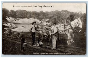 1911 Exaggerated Fish Horse Wagon Grand Rapids Michigan MI RPPC Photo Postcard 