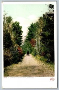 White Mountains  Franconia Notch  New Hampshire  Postcard  c1915