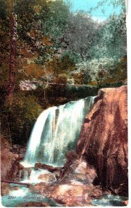 2751 - Mammoth Head Falls, Congress Street, Santa Clara, Cal.