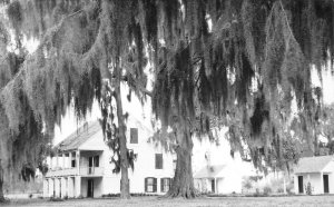 RPPC Evangeline Park St Martinville, Louisiana Longfellow c1930s Vintage Photo