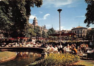 Student Grove Oslo Norway 1968 