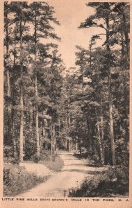 Postcard 1911 Little Pine Trees Mills Drive Brown's Mills in Pines New Jersey NJ