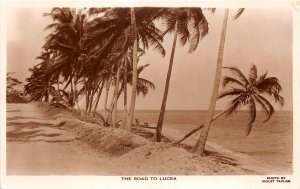 Lot262 the road to lucea real photo jamaica caribbean