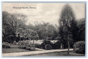 Penang Malaysia Postcard Trees in Botanical Garden c1910 Antique Unposted