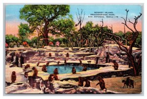 Monkey Island Brackenridge Park San Antonio Texas TX UNP Linen Postcard Z1