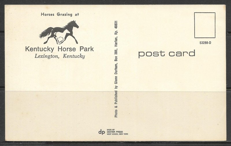 Kentucky, Lexington - Horses Grazing At Horse Park - [KY-053]