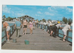 P2819, vintage postcard public fishing pier many people ft. myers beach florida