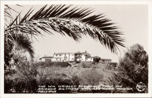 Wigley Residence near Phoenix AZ Biltmore Grounds Frashers RPPC Postcard G74