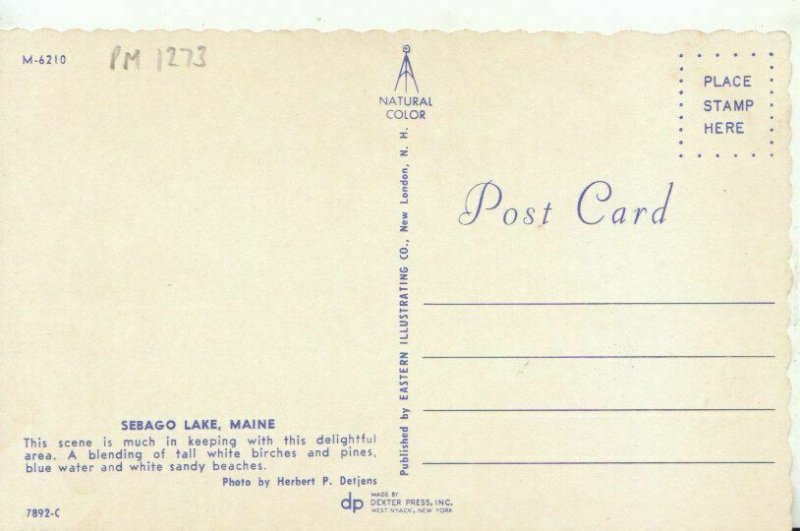 America Postcard - Sebago Lake - Maine - Ref TZ7760