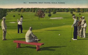 PC GOLF, FL, OCALA, MUNICIPAL GOLF COURSE, Vintage Postcard (b45889)