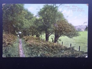 Staffordshire STAFFORD Brancote Wood LOVERS WALK c1907 Postcard by Valentine