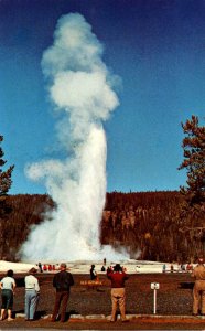 Yellowstone National Park Old Faithful Geyser