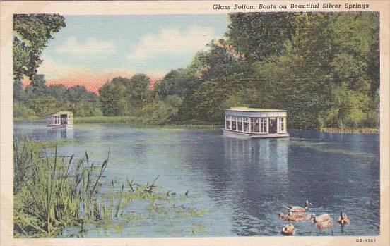 Florida Silver Springs Glass Bottom On Beautiful Silver Springs 1947