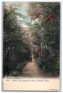 c1905 Shady Lane Berkshire Park Road Pittsfield Massachusetts Vintage Postcard