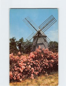 Postcard The Oldest Windmill On Cape Cod, Eastham, Massachusetts