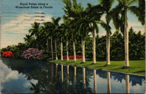 Vtg 1940s Royal Palms along a Waterfront Estate in Florida FL Linen Postcard