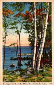 Maine Greetings From Greenville 1946