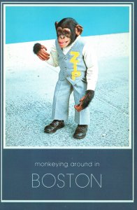 Postcard Monkeying Around Boston Massachusetts Adventures And Sight Seeing