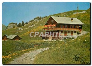 Postcard Modern Gasthaus Tannenbühl Klewenalp Beckenried