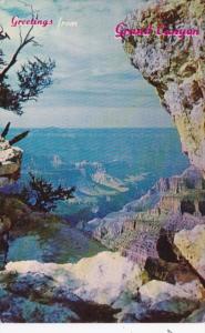 Arizona Greetings From The Grand Canyon 1961