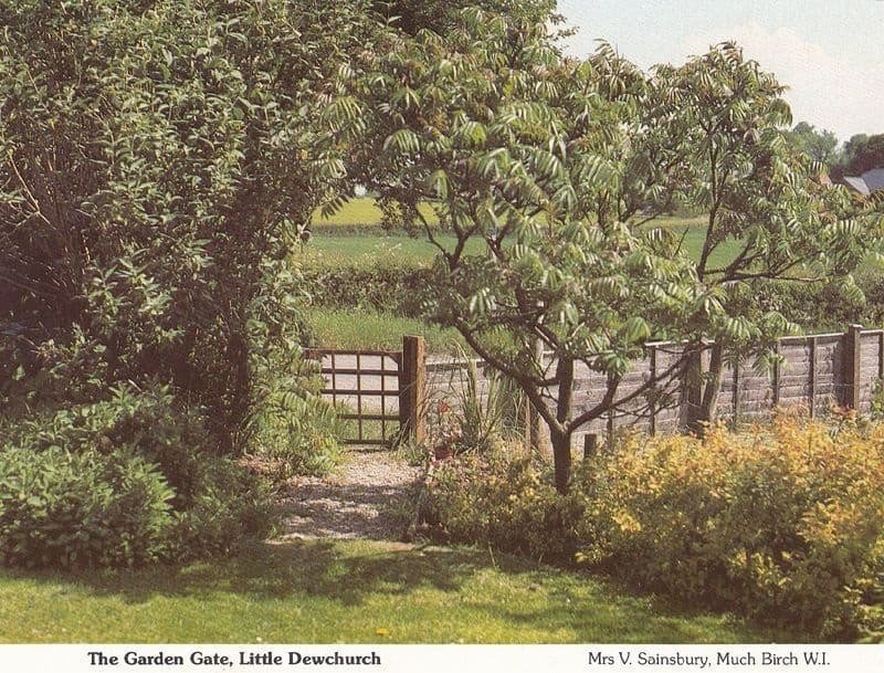 Little Dewchurch Country Garden Herefordshire Womens Institute Postcard