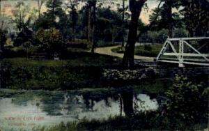 City Park view Kokomo IN 1907