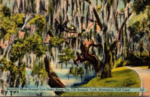 Mississippi Gulf Coast Moss Draped Live Oaks Along The Old Spanish Trail