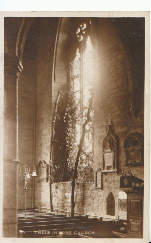 Herefordshire Postcard - Trees in Ross Church - Ref 15844A