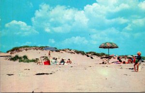 New Jersey Greetings From Stone Harbor Beach Scene 1965