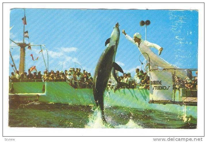Dolphin, Marineland , Florida , 40-60s