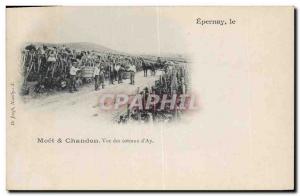 Old Postcard Folklore Wine Vintage Champagne Moet & Chandon Epernay view of t...