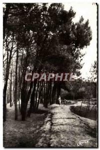 Bretignolles sur Mer - La Foret des Dunes - Old Postcard