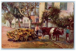 c1910 Wooden Banana Carcass Madeira Portugal RMSP Oilette Tuck Art Postcard