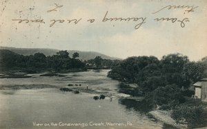 WARREN PA CONEWANGO CREEK 1909 UNDIVIDED ANTIQUE POSTCARD w/ CORK CANCEL