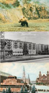 Russia Bear Red Square Painting & Amazing Rare RPC Postcard