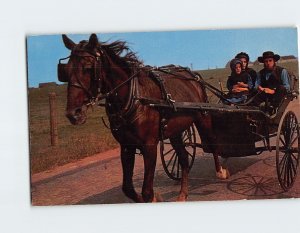 Postcard Amish family in the buggy Greetings From The Amish Country PA USA