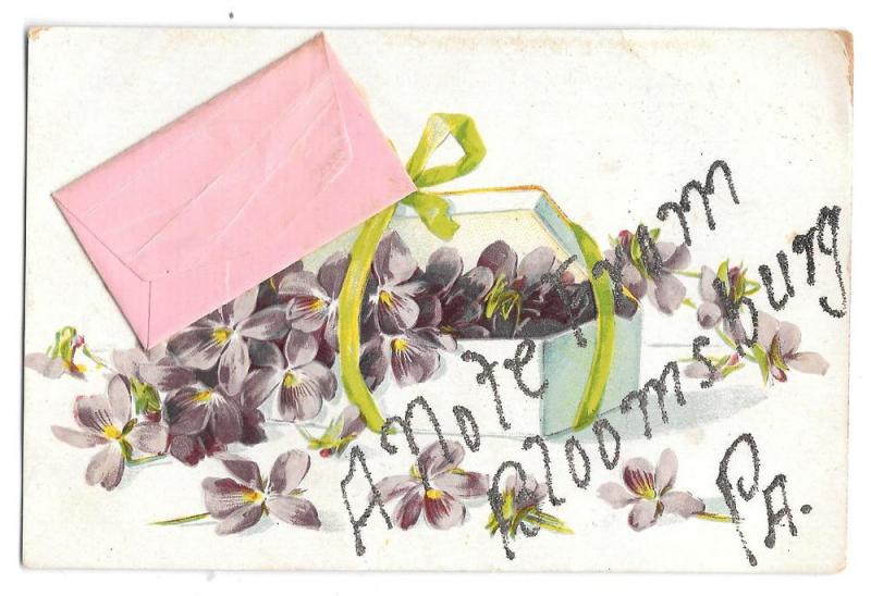 Bloomsburg Pa Note Envelope Add-On Glitter Vintage Postcard