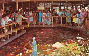 PAGODA HOTEL Nishiki Carp Fish Feeding Hawaii Koi Pond c1960s Vintage Postcard