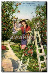 Old Postcard Picking oranges Cote d & # 39Azur