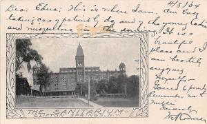 The Sanitarium Clifton Springs New York 1904 postcard