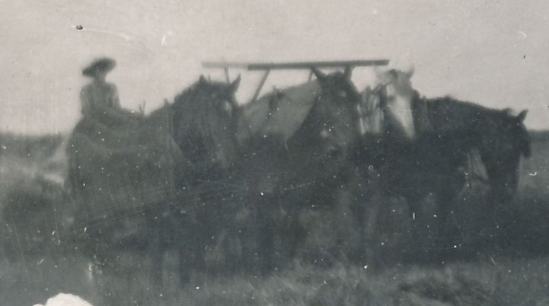 RPPC Champion Brand Farm Reaper Mailed from Belden, Pine County MN Minnesota