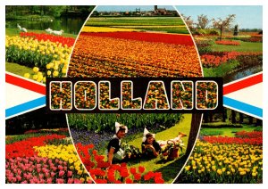 Postcard Netherlands Holland multiview