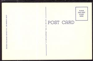 Barrel Cactus on the Desert