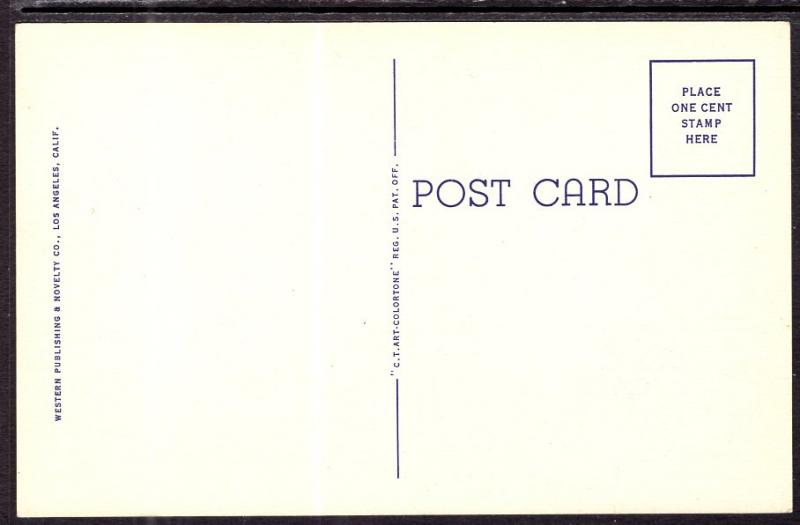 Barrel Cactus on the Desert