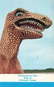 Panama City Beach FL Goofy Golf Tyrannosaurus Rex Postcard